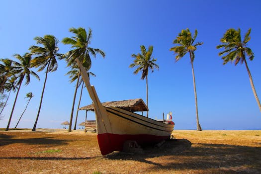 Bask in Hawaiian Calm at Sheraton Kauai Coconut Beach Resort