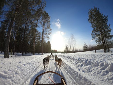 Celebrate Arctic Adventure at Glass Resort, Rovaniemi