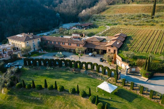 Discover Vineyard Bliss at Castello di Bibbione, Tuscany