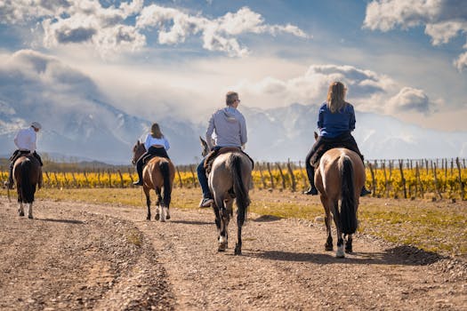 Discover Vineyard Bliss at Castello di Montegiove, Umbria