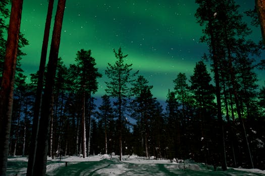 Escape Into Arctic Nights at Arctic Skylight Lodge, Finland