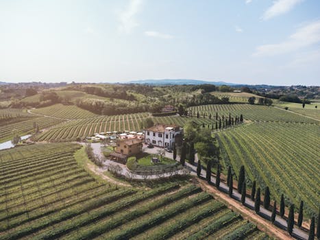 Indulge in Tuscan Vineyard Villas at Villa Il Poggiale, San Casciano