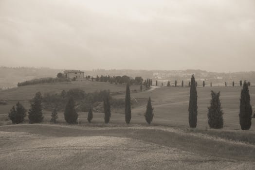 Step Into Tuscan Heritage at Villa Le Barone, Panzano
